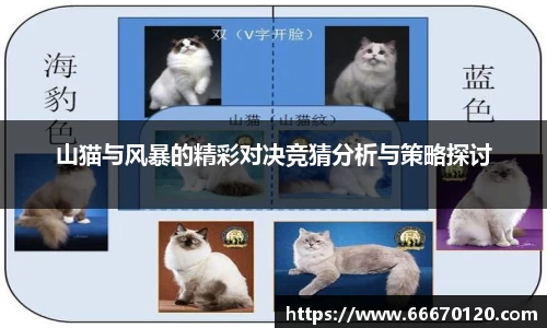 bellbet贝博首页